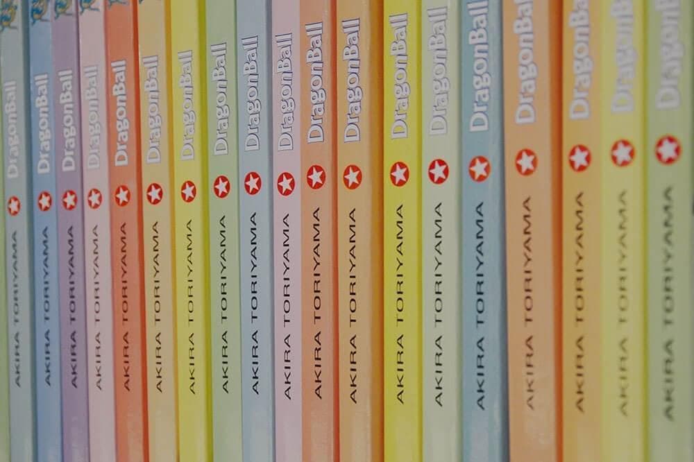 Capture d'écran du site La Librairie des Bauges - Albertville - Savoie