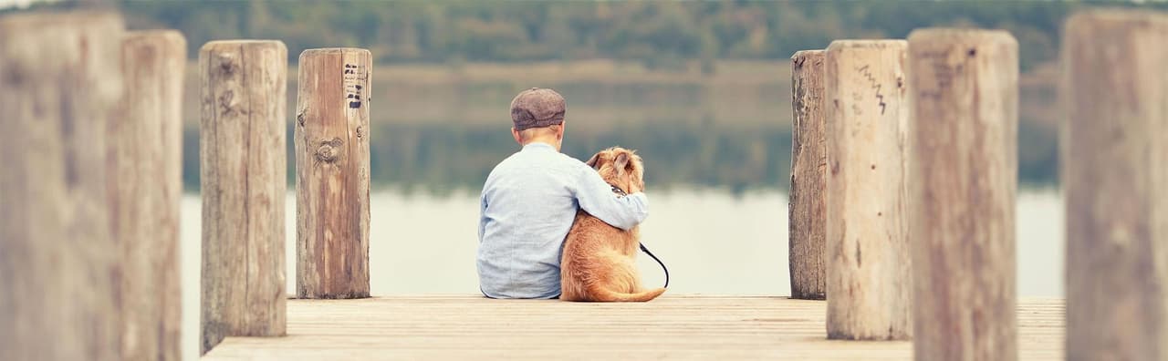 Capture d'écran du site Canaldog - Boutique d'alimentation haute qualité pour chiens et chats